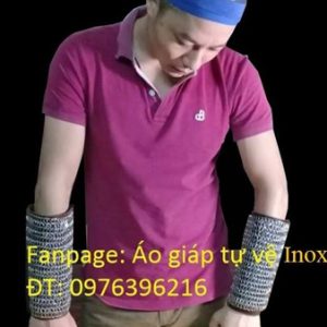Hand guards (1 pair)